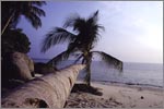 Pemanggil Island's Beach